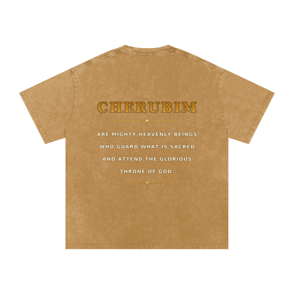 Jubilore Cherubim Snow Washed Oversized Cotton T-Shirt
