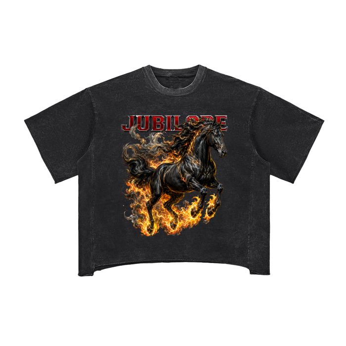 Jubilore Darkhorse Raw Edge Snow Washed Boxy T-Shirt