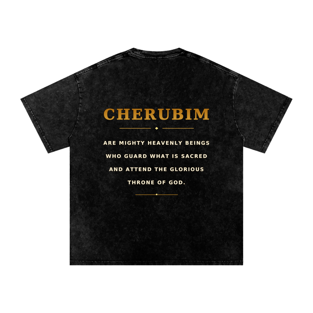 Jubilore Cherubim Snow Washed Oversized Cotton T-Shirt