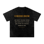 Jubilore Cherubim Snow Washed Oversized Cotton T-Shirt