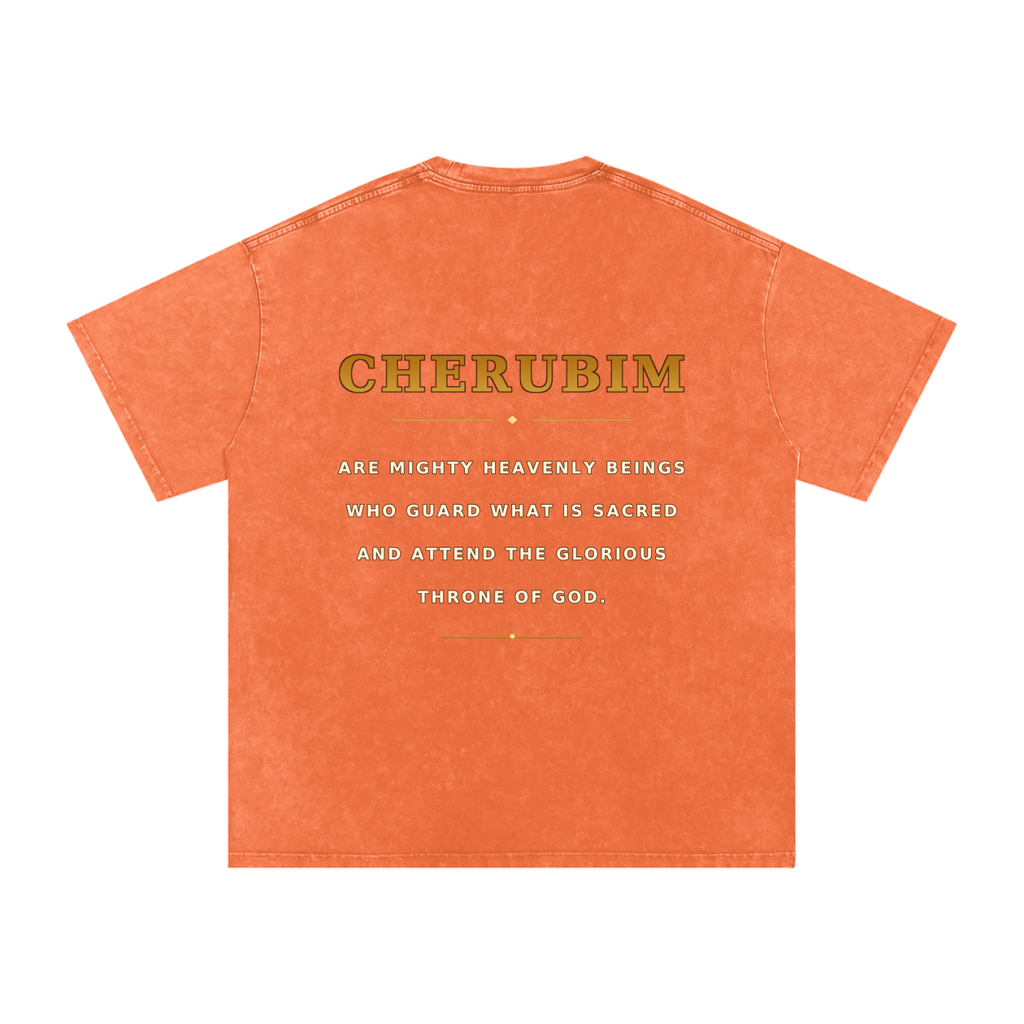 Jubilore Cherubim Snow Washed Oversized Cotton T-Shirt