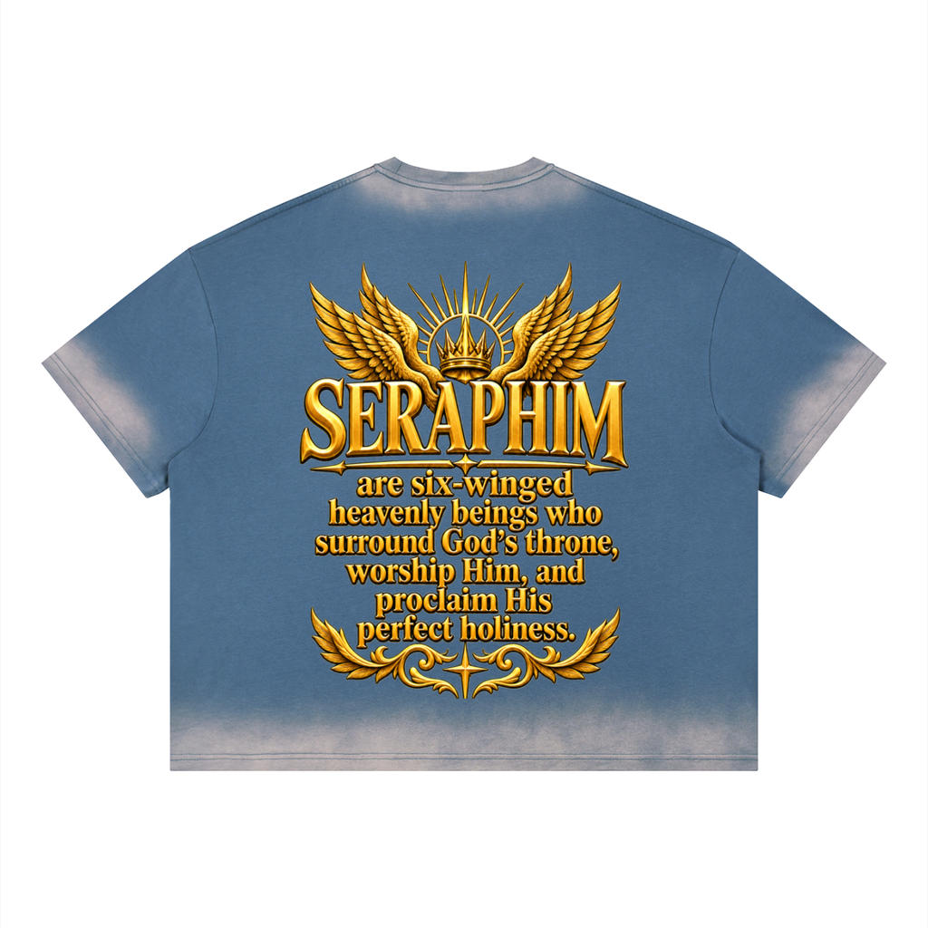 Jubilore Seraphim Unisex Boxy Sunfade Vintage Wash T-Shirt
