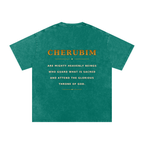 Jubilore Cherubim Snow Washed Oversized Cotton T-Shirt
