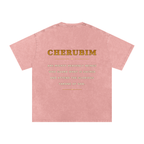 Jubilore Cherubim Snow Washed Oversized Cotton T-Shirt