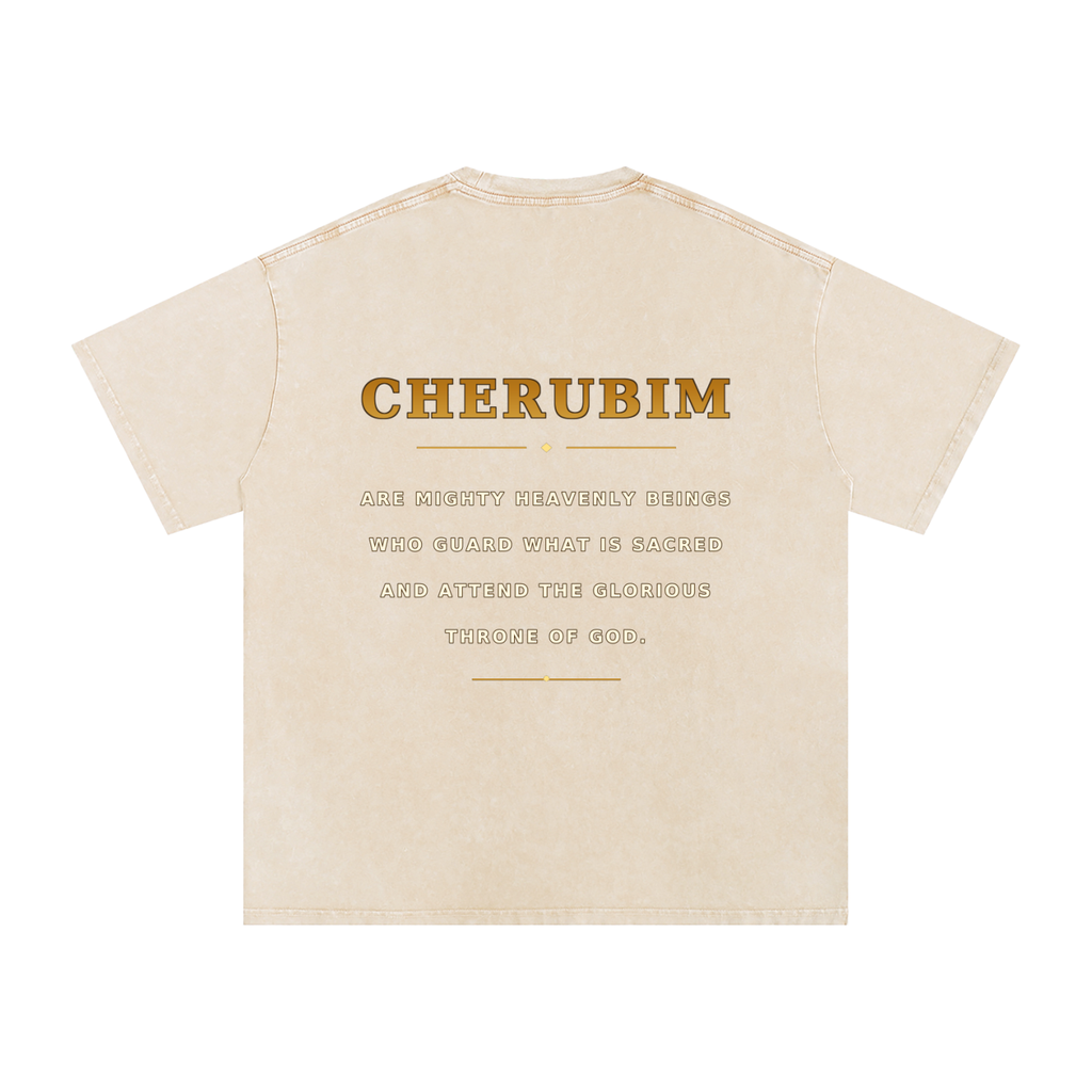 Jubilore Cherubim Snow Washed Oversized Cotton T-Shirt