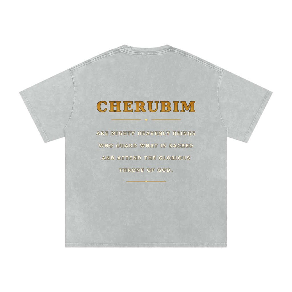 Jubilore Cherubim Snow Washed Oversized Cotton T-Shirt