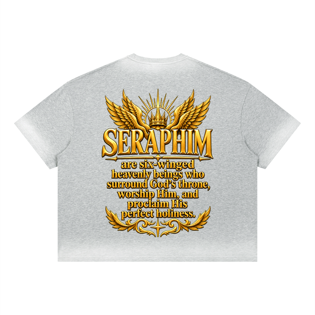 Jubilore Seraphim Unisex Boxy Sunfade Vintage Wash T-Shirt