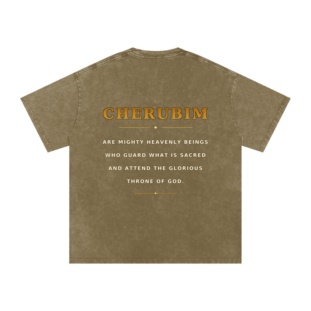 Jubilore Cherubim Snow Washed Oversized Cotton T-Shirt