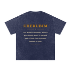 Jubilore Cherubim Snow Washed Oversized Cotton T-Shirt