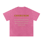 Jubilore Cherubim Snow Washed Oversized Cotton T-Shirt