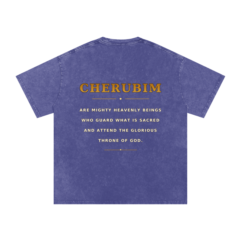Jubilore Cherubim Snow Washed Oversized Cotton T-Shirt