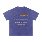 Jubilore Cherubim Snow Washed Oversized Cotton T-Shirt
