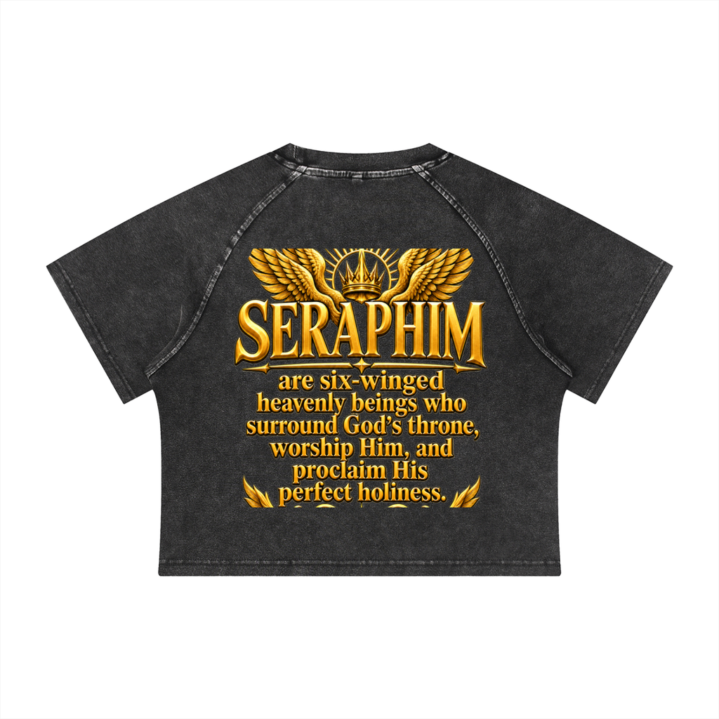 Jubilore Seraphim Women's Mineral Wash Raglan Crop T-Shirt