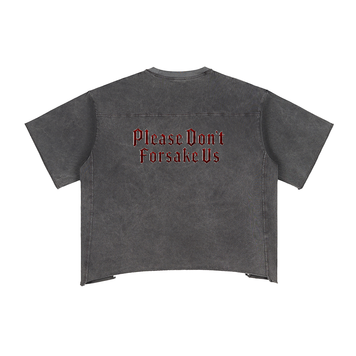 Jubilore Darkhorse Raw Edge Snow Washed Boxy T-Shirt