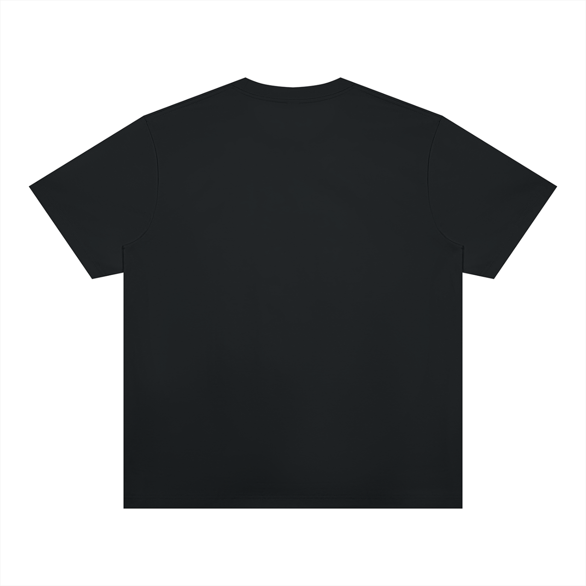 Jubilore "PILA" Unisex Heavyweight Sorona T-Shirt