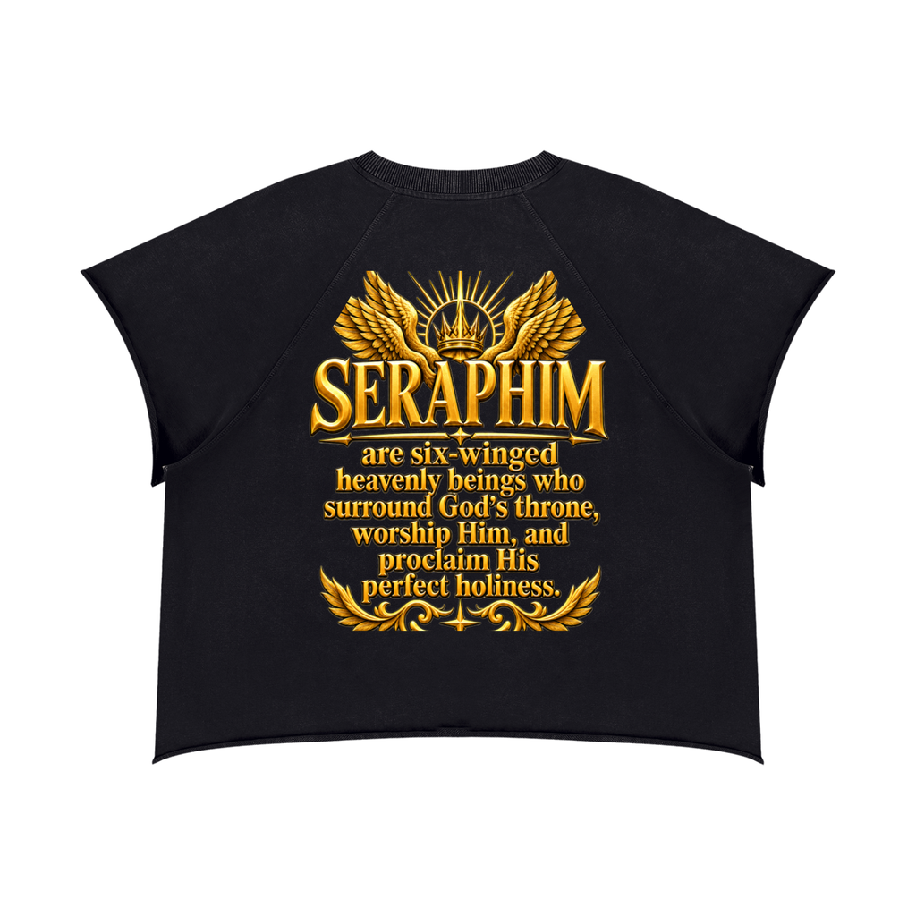Jubilore Seraphim Unisex Vintage Wash Raw Edge Boxy T-Shirt