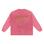 Jubilore Cherubim Snow Washed Frayed Edge T-Shirt