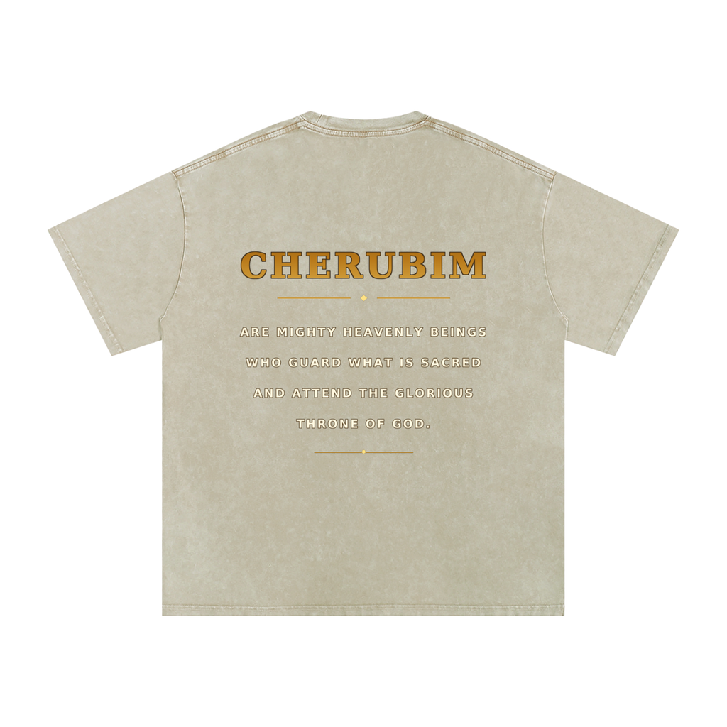 Jubilore Cherubim Snow Washed Oversized Cotton T-Shirt