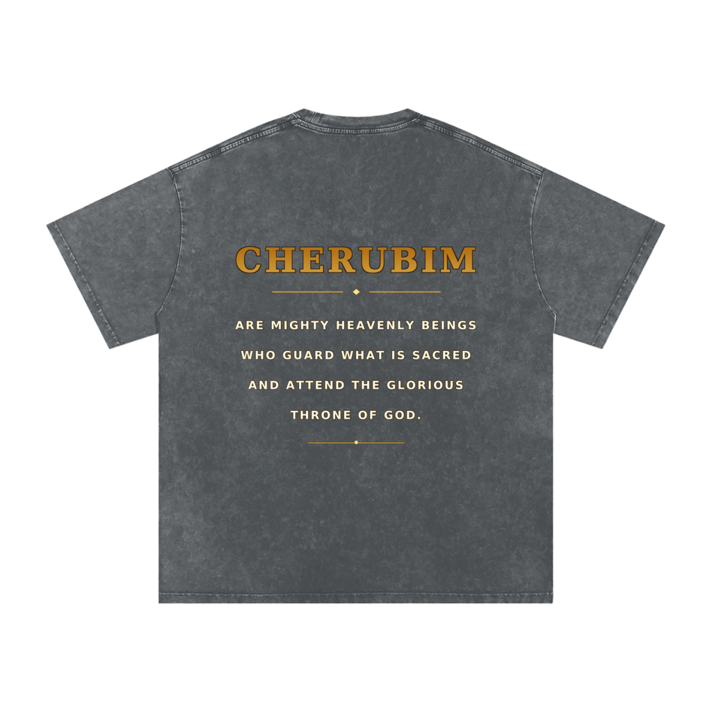 Jubilore Cherubim Snow Washed Oversized Cotton T-Shirt