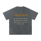 Jubilore Cherubim Snow Washed Oversized Cotton T-Shirt