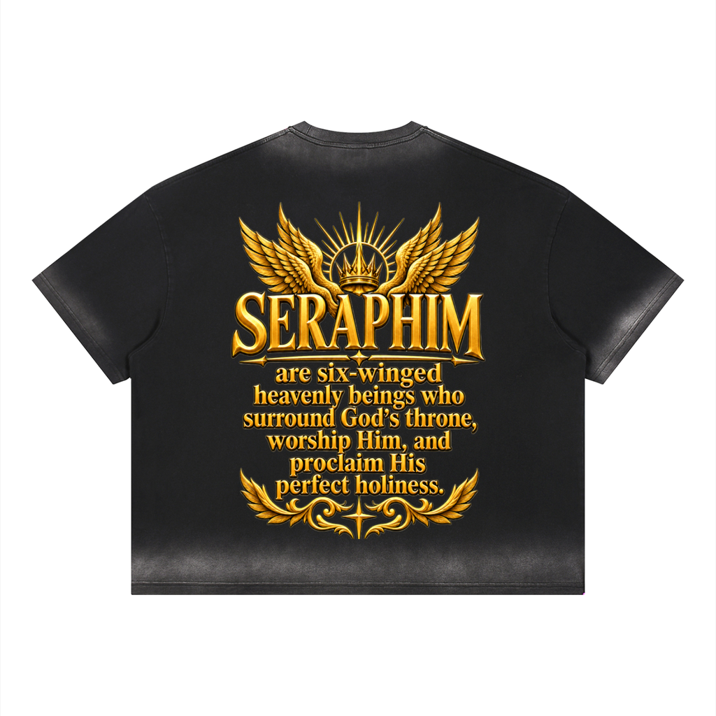 Jubilore Seraphim Unisex Boxy Sunfade Vintage Wash T-Shirt