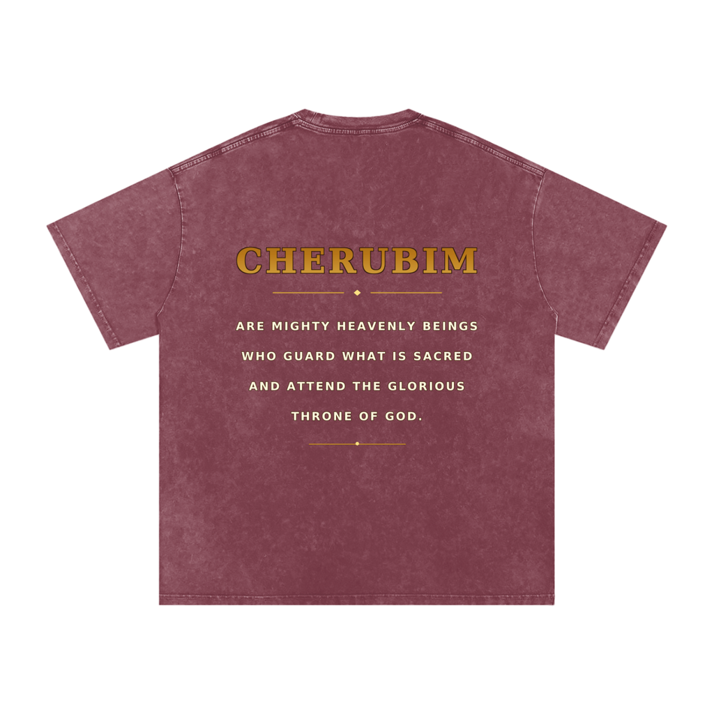 Jubilore Cherubim Snow Washed Oversized Cotton T-Shirt