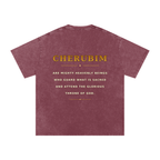 Jubilore Cherubim Snow Washed Oversized Cotton T-Shirt