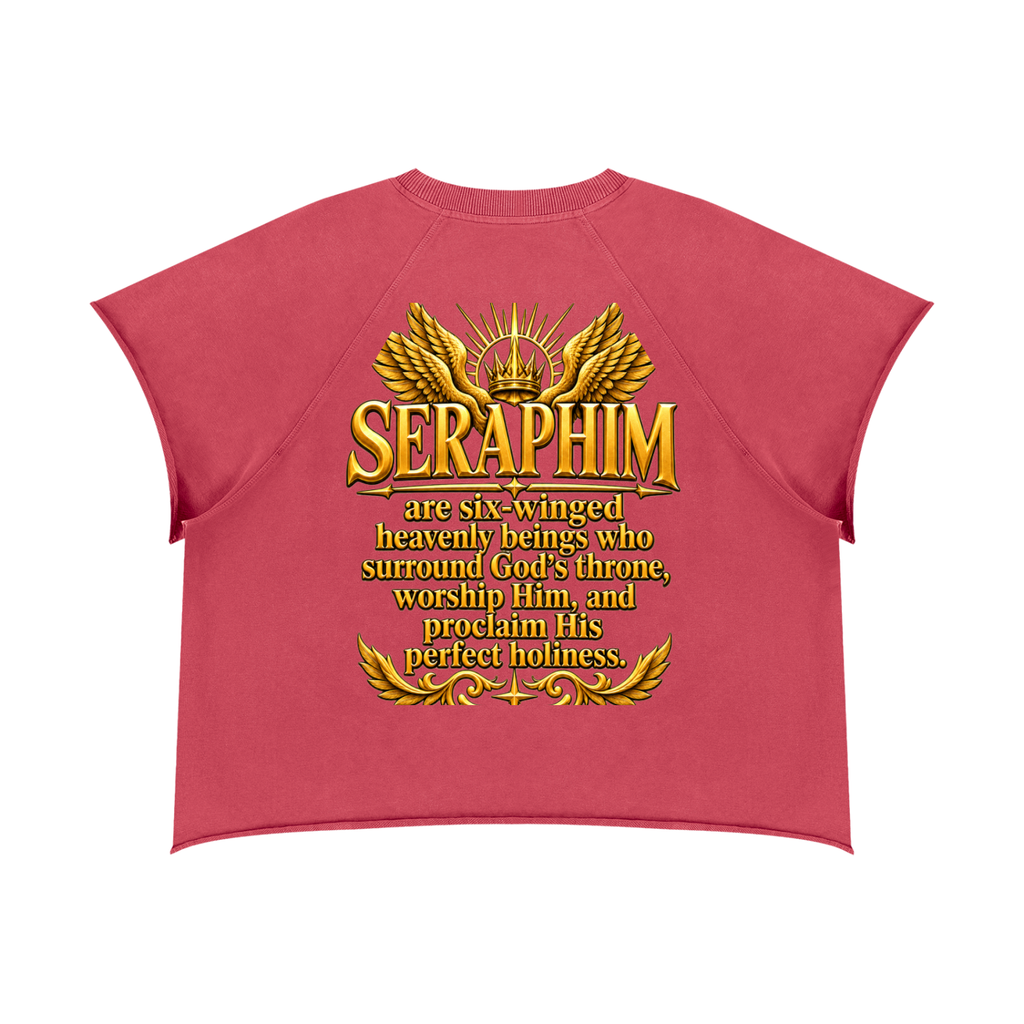 Jubilore Seraphim Unisex Vintage Wash Raw Edge Boxy T-Shirt