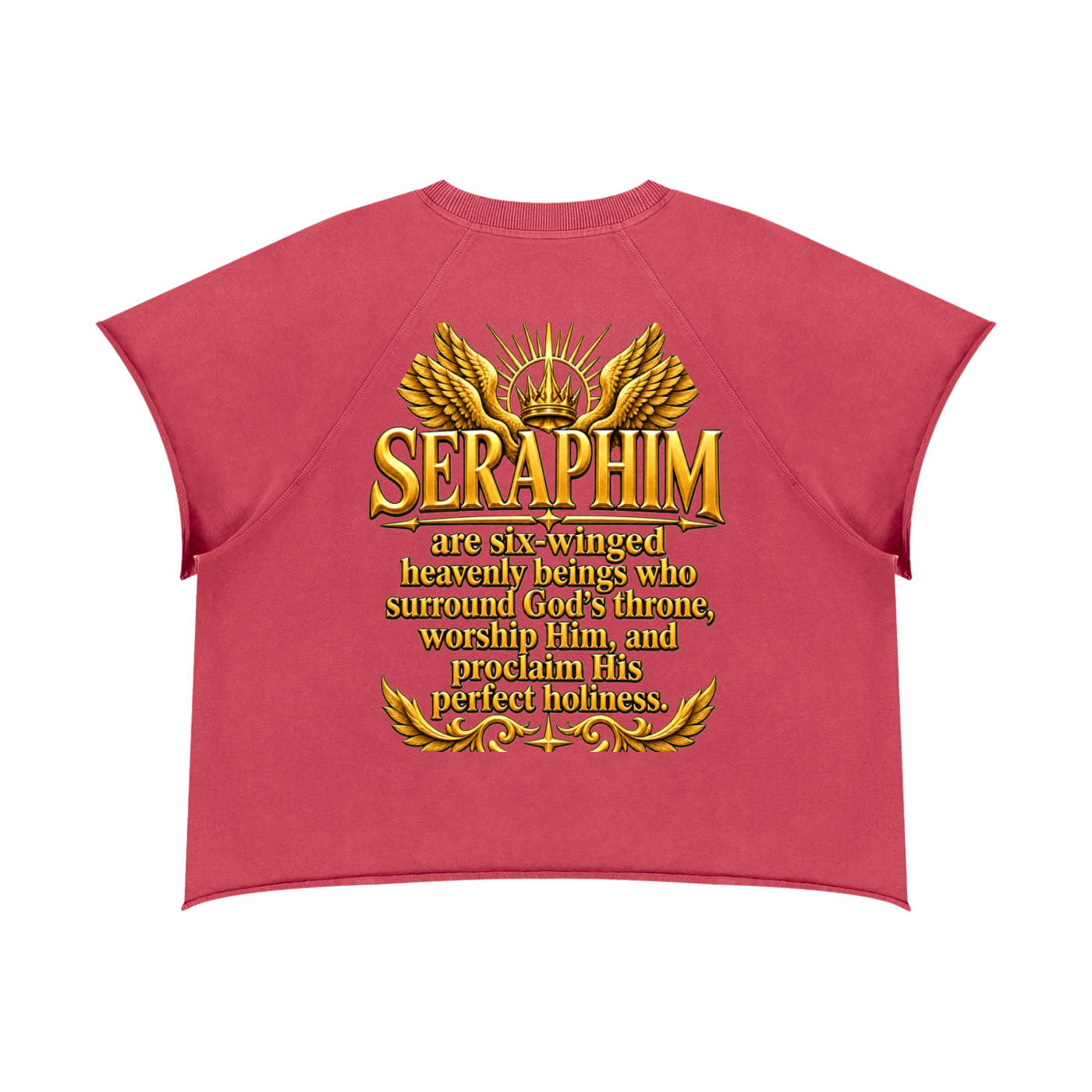 Jubilore Seraphim Unisex Vintage Wash Raw Edge Boxy T-Shirt