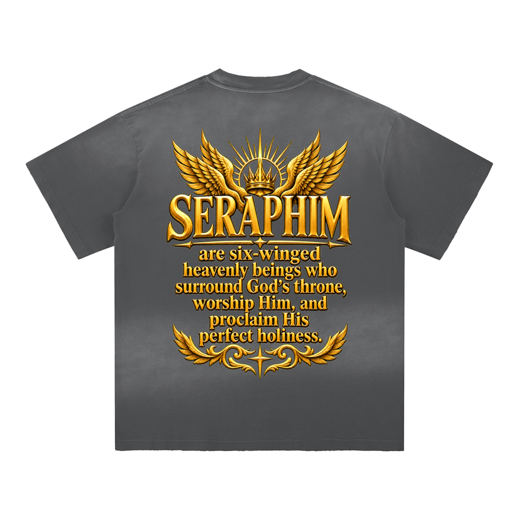 Jubilore Seraphim Sun Fade Hand-Frayed Cotton T-Shirt