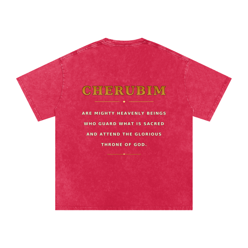 Jubilore Cherubim Snow Washed Oversized Cotton T-Shirt